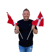 Flag Danmark Sticker by MATHstore