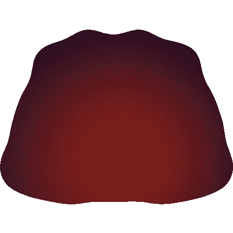 irarayzelji giphyupload christmas arch ust Sticker