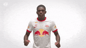 Happy France GIF by FC Red Bull Salzburg