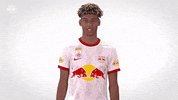 Red Bull Yes GIF by FC Red Bull Salzburg