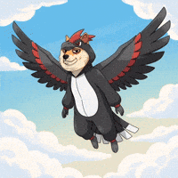 Flying Shiba Inu GIF by Doge Pound