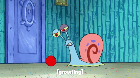 season 9 gary's new toy GIF by SpongeBob SquarePants