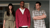 Happy New Girl GIF by FOX TV