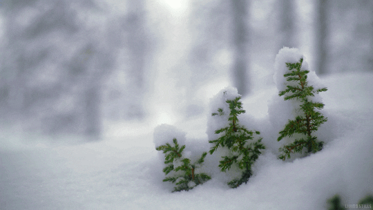 snow freezing GIF by Living Stills