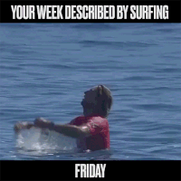 water sports surfing GIF by World Surf League