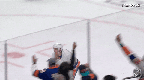 Happy National Hockey League GIF by NHL