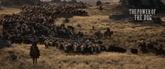 Movie GIF by NETFLIX