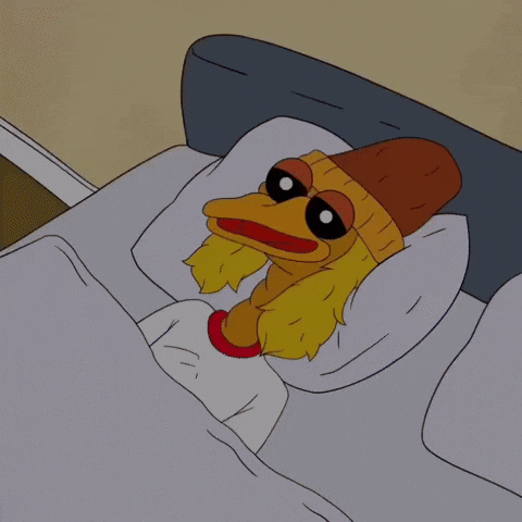 BirdDogERC memes ethereum eth memecoin GIF