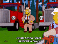 Episode 4 Forest GIF by The Simpsons
