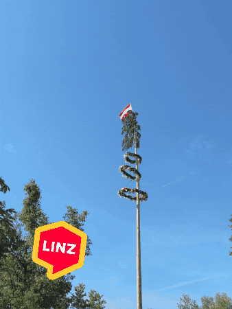 Tree Wind GIF by Linz News