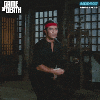 Martial Arts Film GIF by Arrow Video