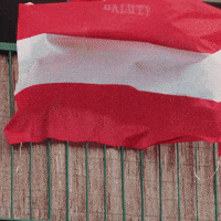 Rts GIF by Widzew Łódź