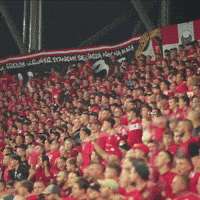 Football Soccer GIF by Widzew Łódź