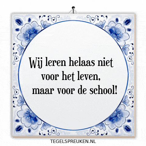 School Wijsheid GIF by Tegelspreuken.nl