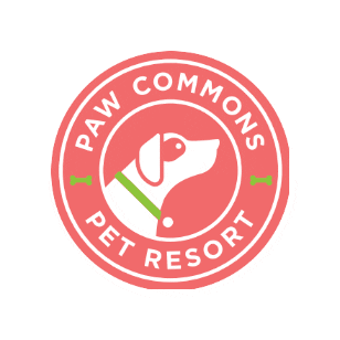 pawcommons giphygifmaker Sticker