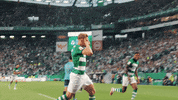 Football Sport GIF by Sporting CP