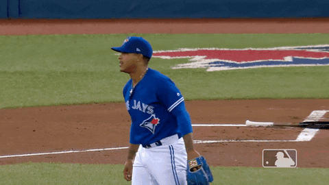 major league baseball sport GIF by MLB