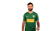 Regionalliga Celebrating Sticker by HSC Hannover