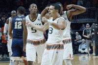miamihurricanes sports college ncaa miami GIF