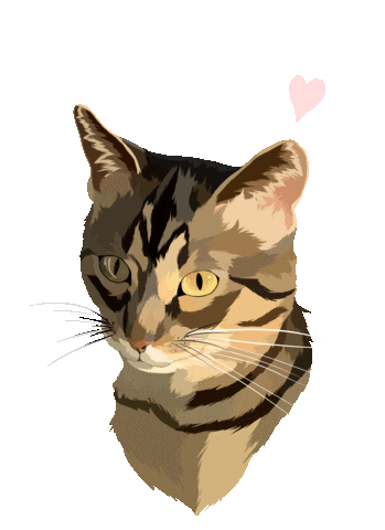 Cat Adopt Sticker by Watertown Humane Society