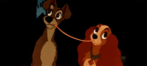 lady and the tramp love GIF