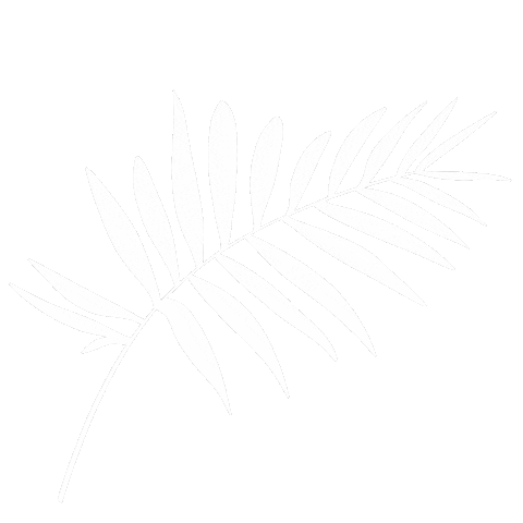 Leaf Leaves Sticker