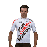 Tour De France Win Sticker by AG2R CITROËN TEAM