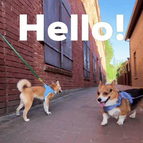 Dog Hello GIF