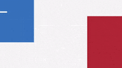 Wfaavote Votetexas GIF by WFAA