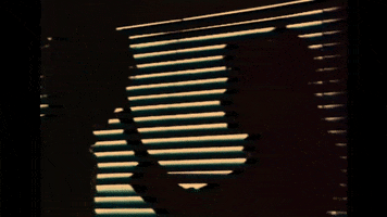 Blixa Bargeld 80S GIF