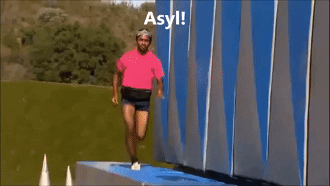 OBERGIFFER33 giphyupload run eu stunt GIF