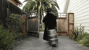 blackplaguebrewing craft beer beer cans beer pour black plague GIF