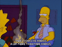 homer simpson episode 20 GIF