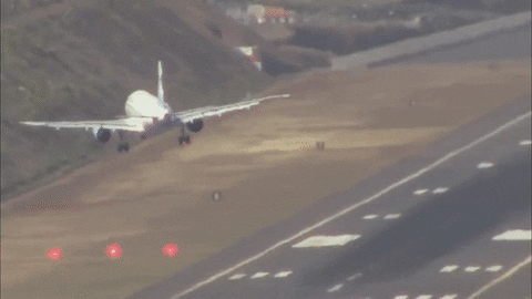 airplane hometown GIF