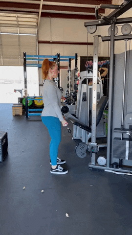 megsquats giphyupload GIF
