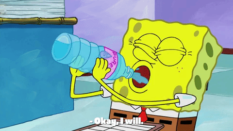 season 9 GIF by SpongeBob SquarePants