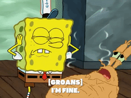 season 5 GIF by SpongeBob SquarePants