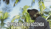 isola 12 massimo GIF by Isola dei Famosi