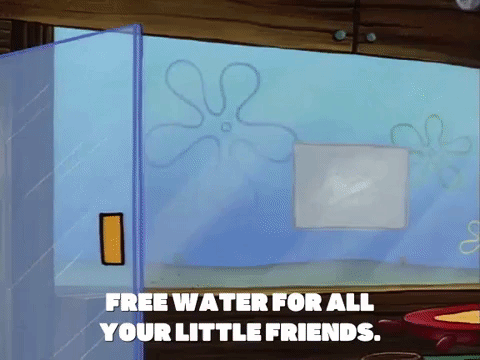 season 1 episode 20 GIF by SpongeBob SquarePants