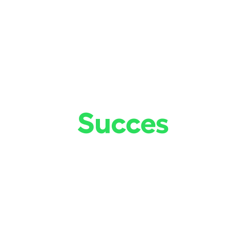 Succes Sticker by Curio