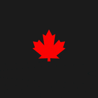 2021 GIF by DSQUARED2