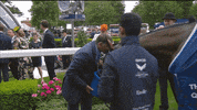 Frankie Dettori Enable Horse GIF by World Horse Racing