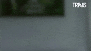 Wake Up Reaction GIF by Travis