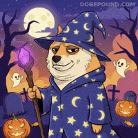 Jack O Lantern Dog GIF by Doge Pound