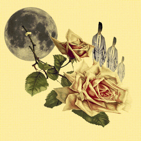 JoeGast giphyupload vintage moon rose GIF