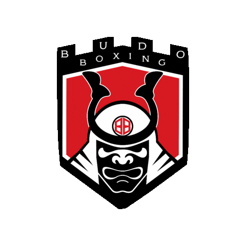 budoboxing giphygifmaker boxing budo budoboxing Sticker