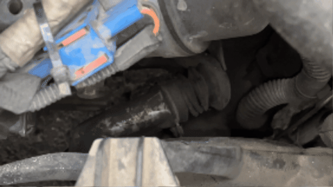 alidarbaz giphygifmaker GIF