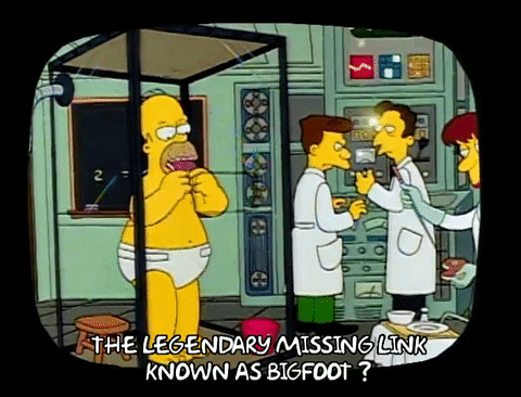 Season 1 GIF by The Simpsons