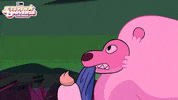 Steven Universe Connie GIF by Cartoon Network