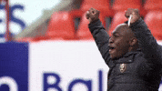 Celebration Victory GIF by Standard de Liège